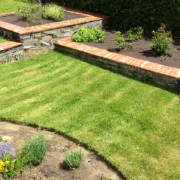 Gazon de Jardin : découvrez les différentes variétés de gazon pour choisir celle qui convient le mieux à votre jardin Rouen